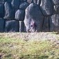 sacsahuayman sacsahuayman