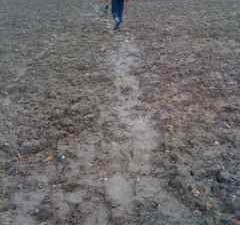 Treading lightly on the earth/mud