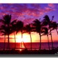 hawaii hawaii