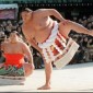 sumo_scale sumo_scale