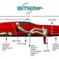 withindimensions_scale withindimensions_scale