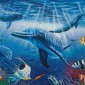 dolphins_scale dolphins_scale