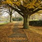The ancient causeway that runs through Steventon