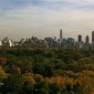 central park Another fun app: Pano for iPhone. Pic of Central Park taken yesterday from the roof of the apartment where I have been staying.