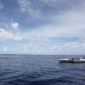 roz tarawa roz tarawa