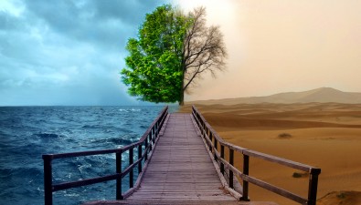 Environment_Project_01_by_moure Environment_Project_01_by_moure