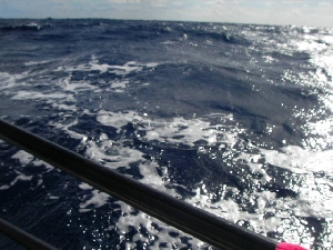 20051204_open_ocean