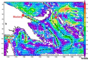 Roz current 15 May jpeg