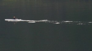 rowing_scale