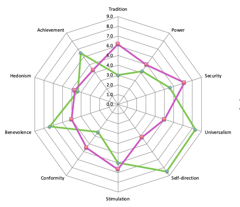 Values Worksheet | Roz Savage