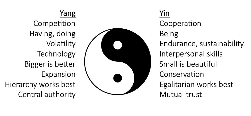 The Yin and Yang of Organisations | Roz Savage The Yin and Yang of Organisations | Roz Savage