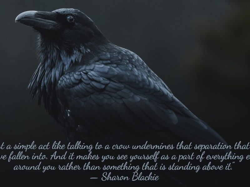 Sharon Blackie: Connection, Consequences, and Crones