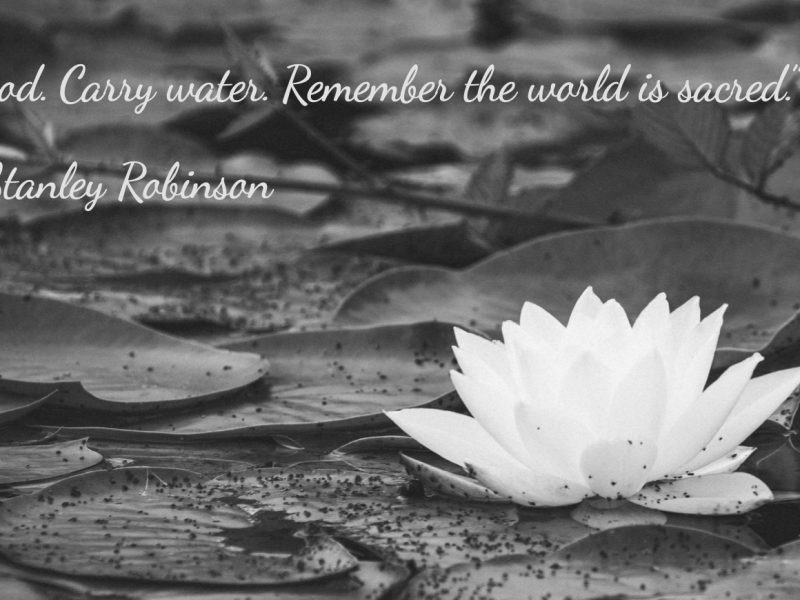 Kim Stanley Robinson: Novelist for the Future