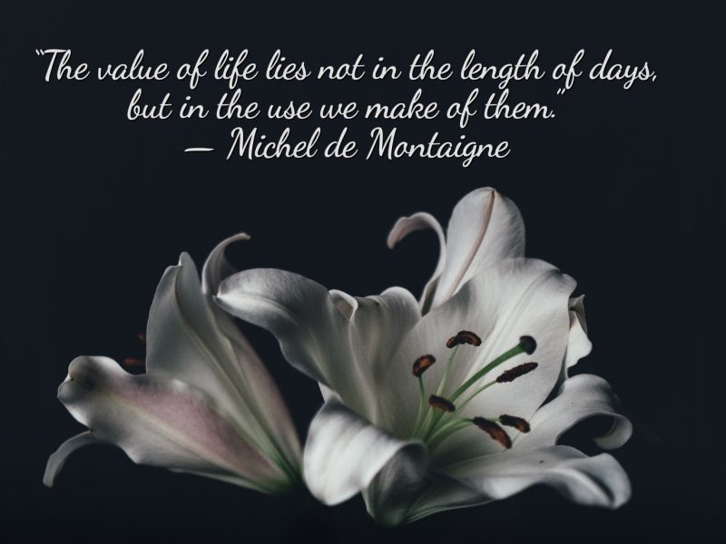 Suicide, Selfishness and the Cycles of Life Suicide, Selfishness and the Cycles of Life