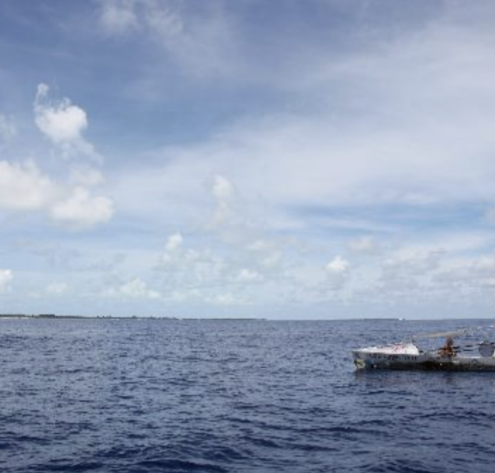 Entering the Shark-Infested Waters of Politics